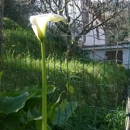 Vendégház La Palma La Spezia